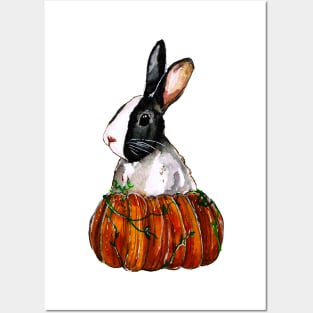 Dutch Bunny Pumpkin Posters and Art